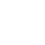 dlc